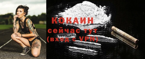 тгк Алексин