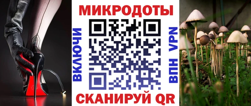 где продают   Карасук  Псилоцибиновые грибы GOLDEN TEACHER 
